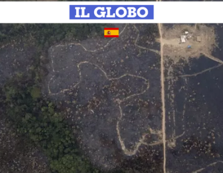 Renata Bueno sobre la Cop30: “Hace falta una alianza mundial por la Amazonia”