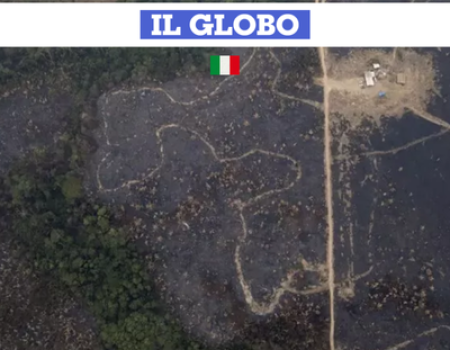 Renata Bueno sulla Cop30: “Serve un’alleanza mondiale per l’Amazzonia”