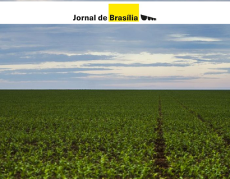 Thumbnail Padrão para Noticias do Blog (400X350)